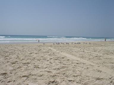 Australia photo
