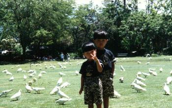 Hawaii photo 12